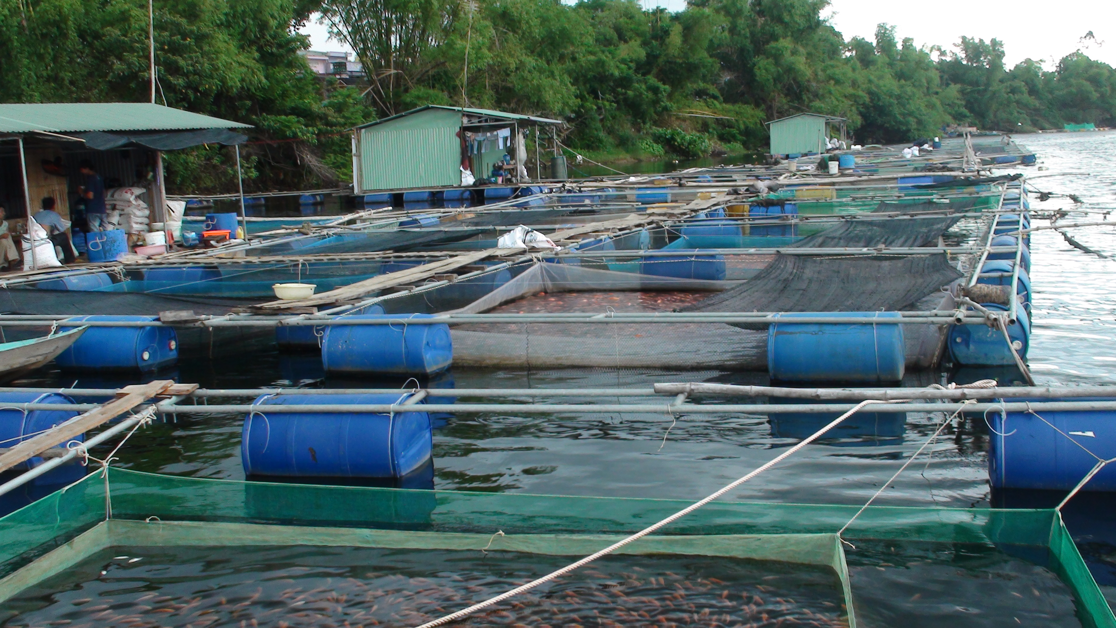  THÙNG PHUY NHỰA ĐÀ NẴNG 